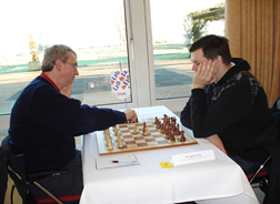 ChessOrg Bild